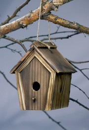 fuglehus