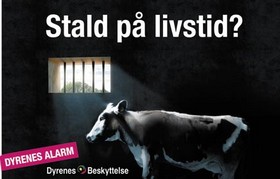 Stald p&aring; livstid