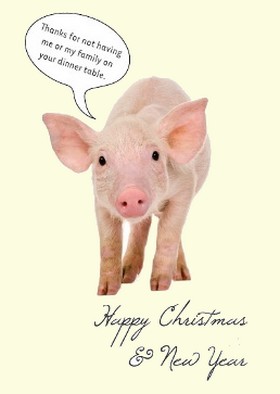 X-mas pig